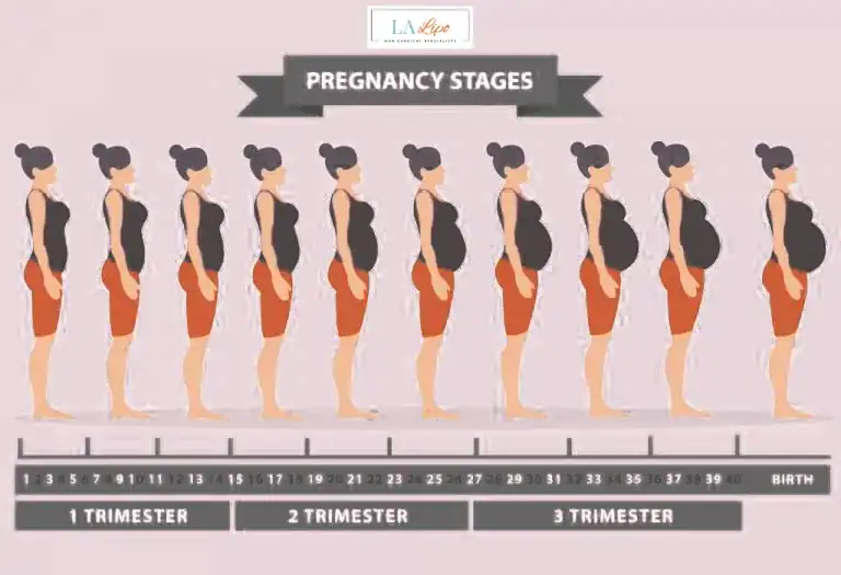 First Trimester (Weeks 1–12): Early Changes You Might Not Notice East Sussex